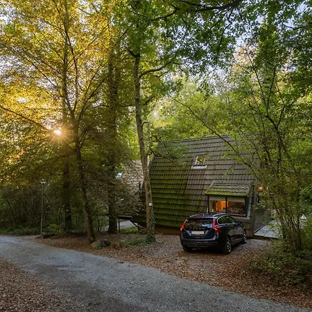 Gezellige Natuurchalet In Chalet