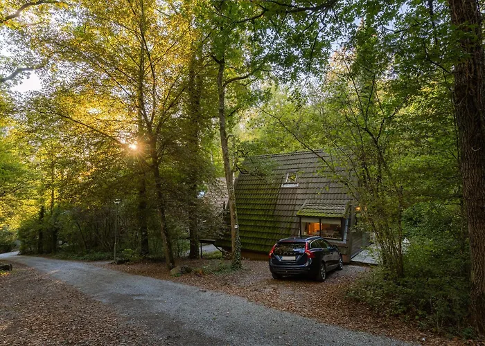 Gezellige Natuurchalet In Chalet